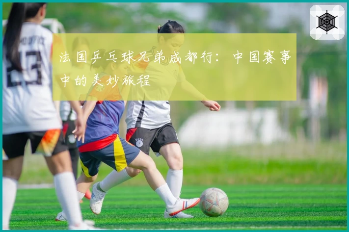 法国乒乓球兄弟成都行：中国赛事中的美妙旅程